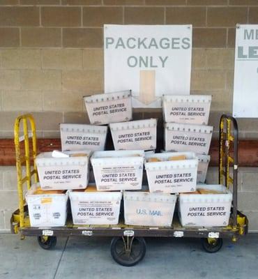 Packages of free books from Inside Books Project at the dock of the post office ready to be delivered to prisoners in Texas.