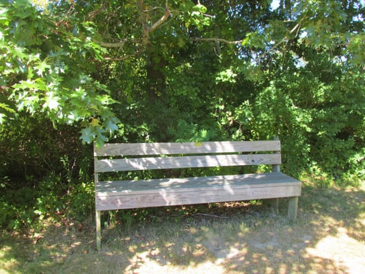 A bench at the beginning of the trail