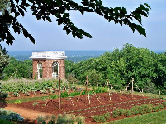 Mountain Garden