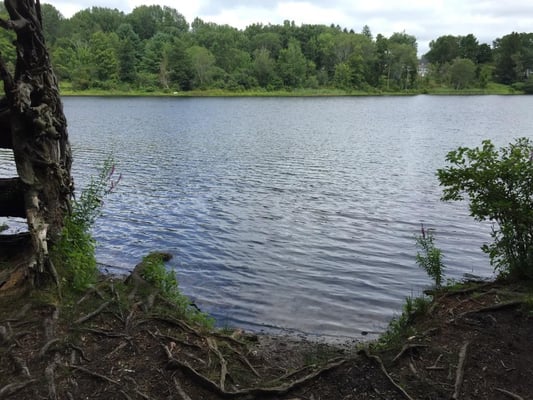 View of the pond