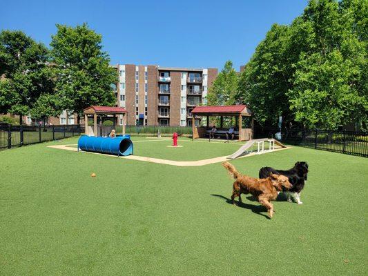 Wiggley Field Dog Park