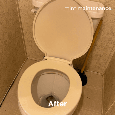 Before and After toilet cleaning by Mint Maintenance!