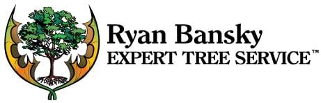 Ryan Bansky Expert Tree Service