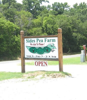 Sides Pea Farm in Canton, TEXAS.  All of the peas your little heart desires!