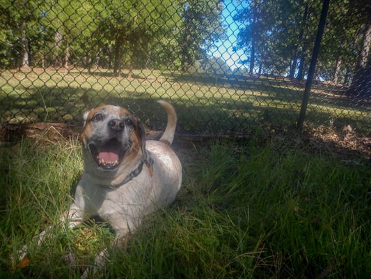 Relaxing on the grass in the shade