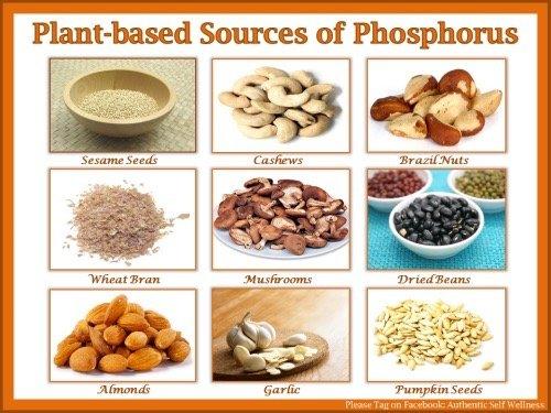 Foods that help with phosphorus deficiency.