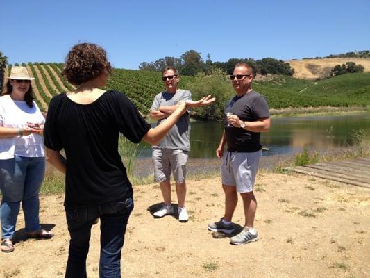 Learning about the Carneros vineyards