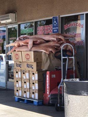 Ewwww this is how the meat is treated when it arrives. Not kept at a standard temperature. Fly are all over the meat. This can't be legal!