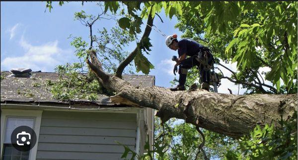 Coppola Landscaping and Services