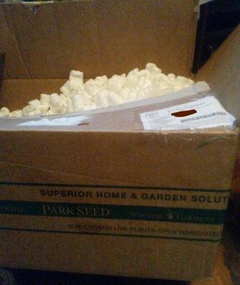 Park Seed Styrofoam Packing