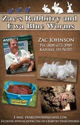 Ewa Blue Worms