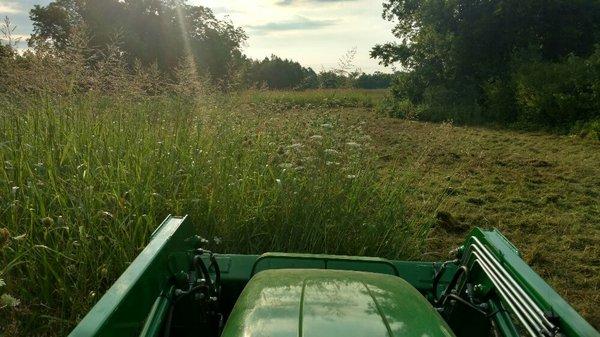 Pasture shredding