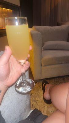 Mimosa in the relaxation area