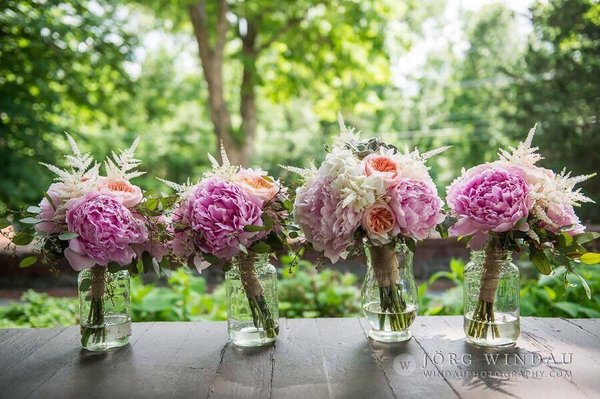 Peonies, Astilbe, David Austin Peach Juliet Garden Roses, Hydrangea and Succulents!