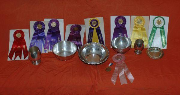 Some of our AKC Dog Show trophies, we have been showing for 40 years.