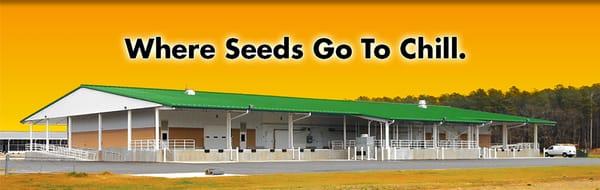 Agriculture Seed Storage