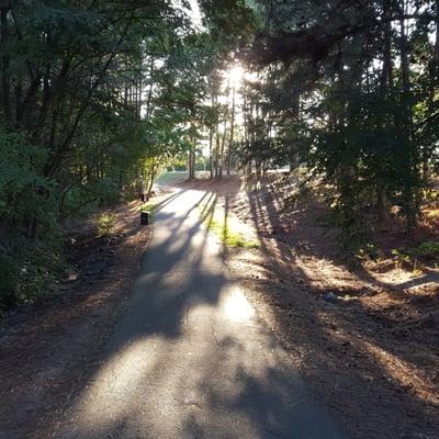 This is the start of one of the trails, just off the parking lot.