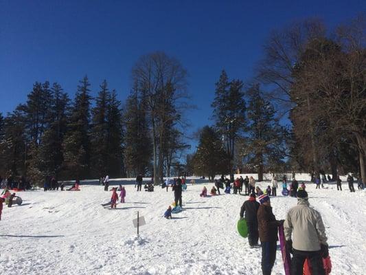 Sledding after Jonas - 1/24/2016