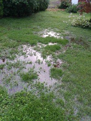 Next to the white door in the background is the gutter that flooded my yard.