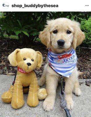 Dog gifts and matching t-shirts