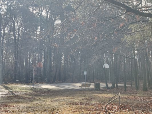 Basketball court