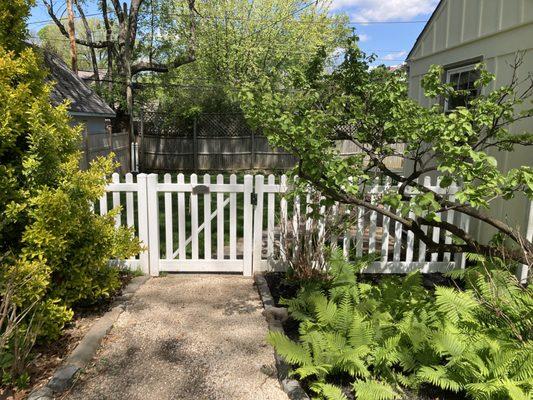 A photo of the side yard with a walkway heading to the backyard with a white vinyl picket fence. Plants galore in front of the vinyl fence.