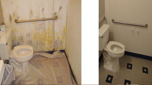 Bathroom mold remediation service