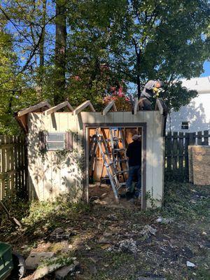 shed remodeling