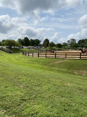 Large grassy knoll