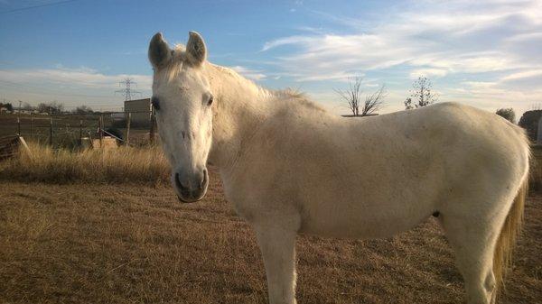 My Dakota Prince... born April 14, 1993 (now 25 years old~!)