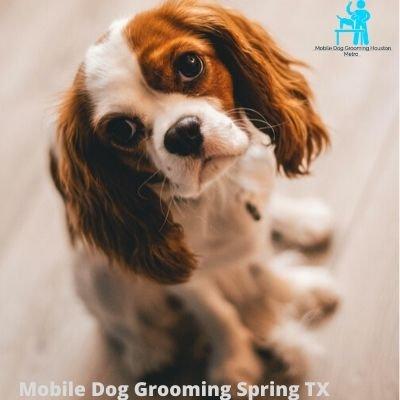 Mobile Dog Grooming Spring TX