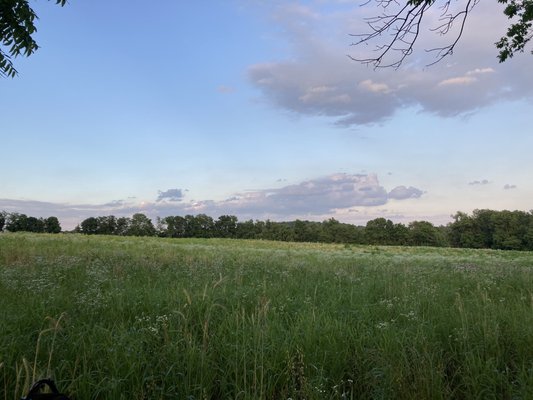 Natural Lands' Bryn Coed Preserve