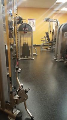 The gym