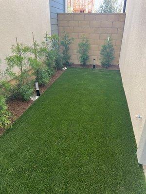 Turf and plants