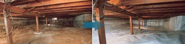 What's in your crawlspace?