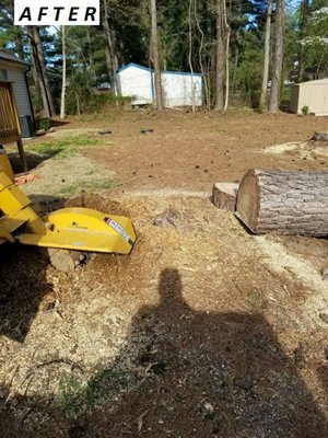 Stump grinding