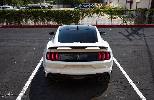 Ford Mustang GT500 paint corrected and coated.