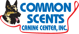 Common Scents Canine Resort