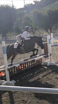 A pony in training with Courtney at a competition (he won his class!)