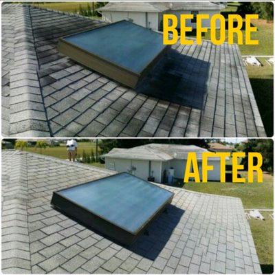 The roof had lots of mildew, we removed it and applied mildew killer,greatly enhancing appearance and shingles,mildew kills shingles