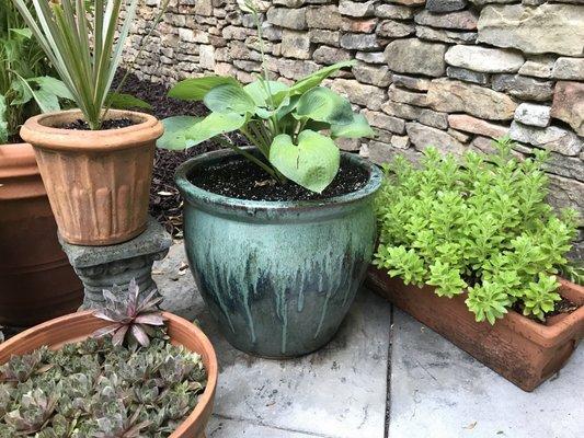 Glazed pots with character