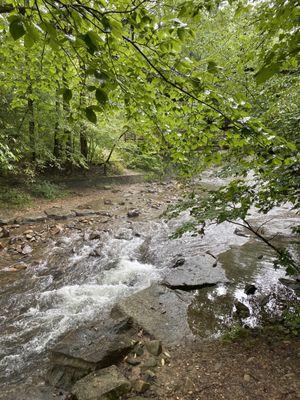 North Mills River Recreation Area