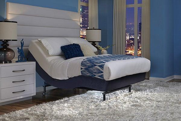 All Adjustable Bed Manufacturers and Models:  Electropedic, Leggett & Platt, Reverie, Ergomotion, Flex-A-Bed, Primo, Med-Lift...