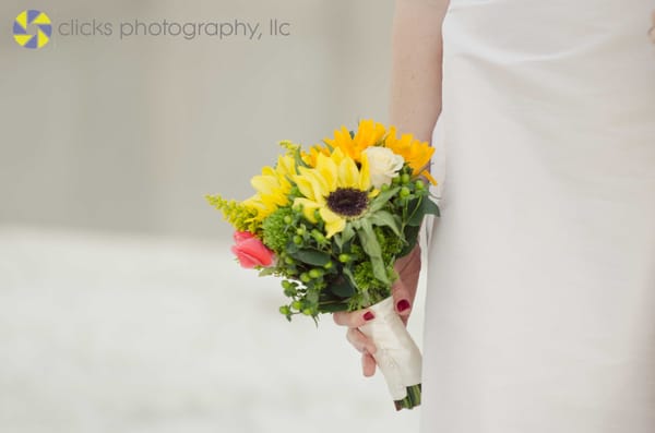 clicks photography, llc - maryland wedding photographer