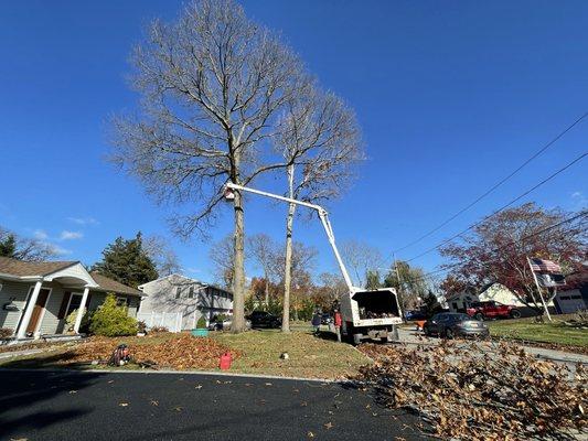 Bucket truck action!