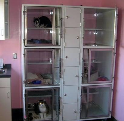 Feline Luxury Boarding.  Each area has shelf for food and water. Large bottom for bed and toys, and separate area for litter box