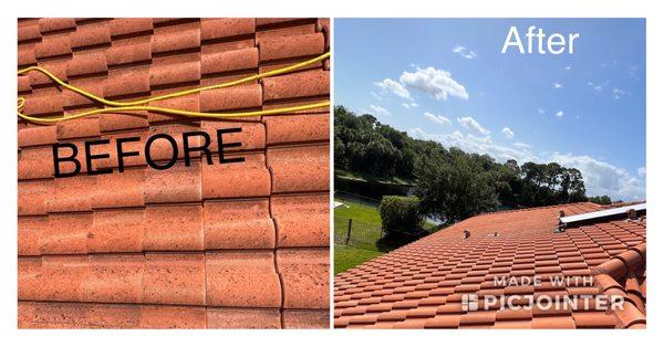 Mold destroying soft wash roof cleaning, before and after