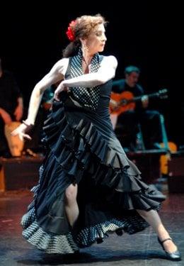 Flamenco Academy of Dance/ Director, Virginia Iglesias