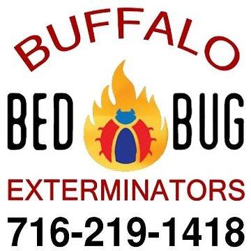 Buffalo Bed Bug Exterminators