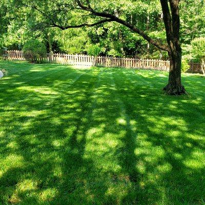 A healthy lawn requires regular maintenance!